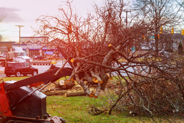 Mulching Services in Kennewick, WA