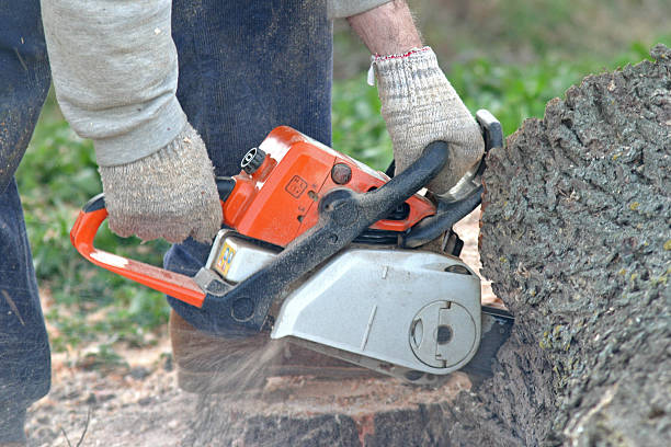 Best Grass Overseeding  in Kennewick, WA